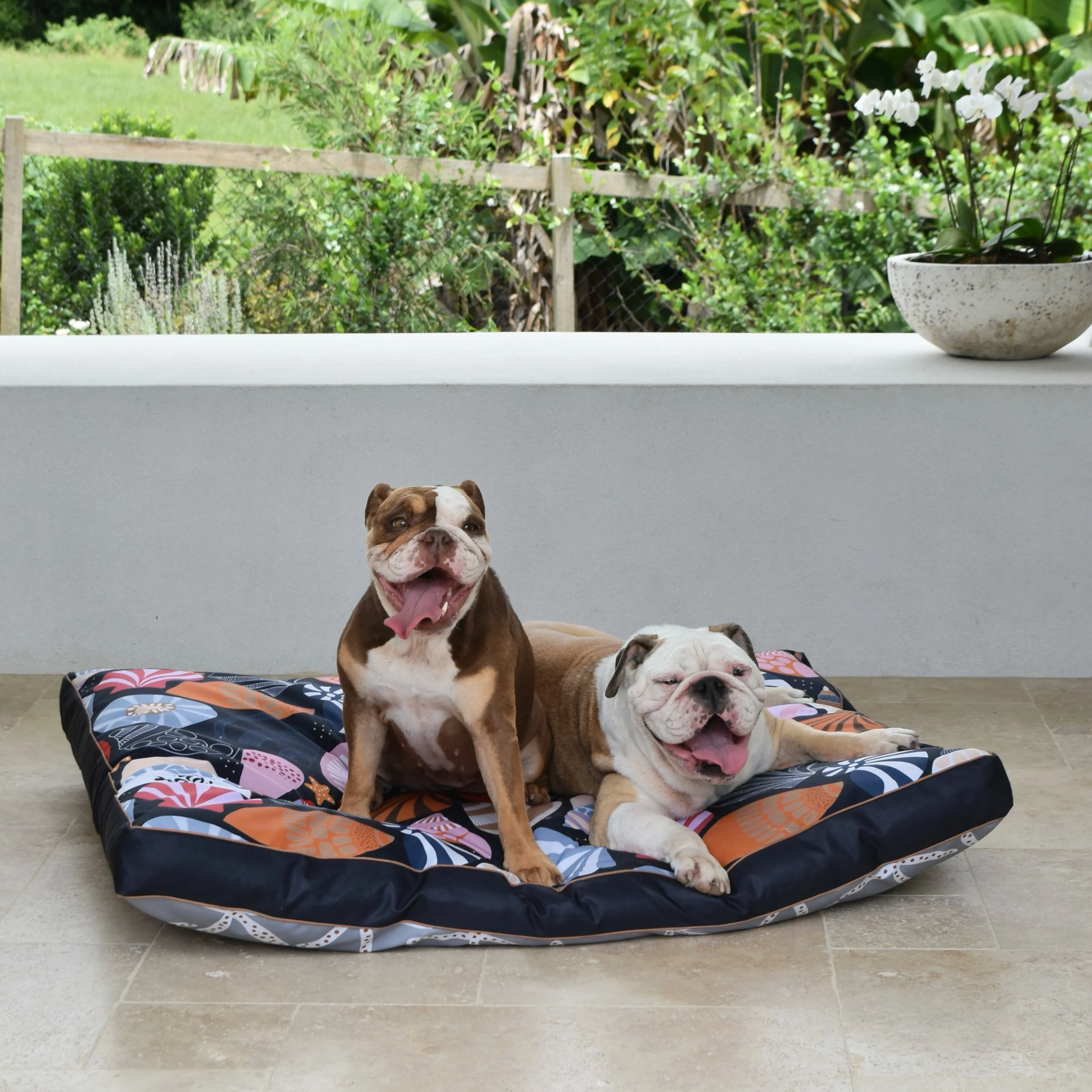 Daydream Shells Water-Resistant - XXL Dog Bed (SECONDS)