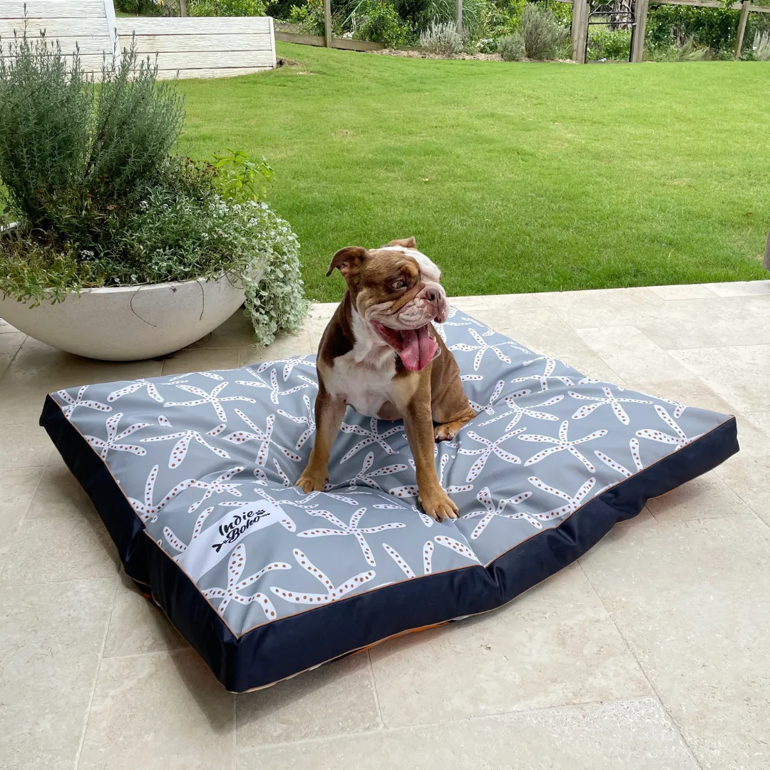 Daydream Shells Water-Resistant - XXL Dog Bed (SECONDS)