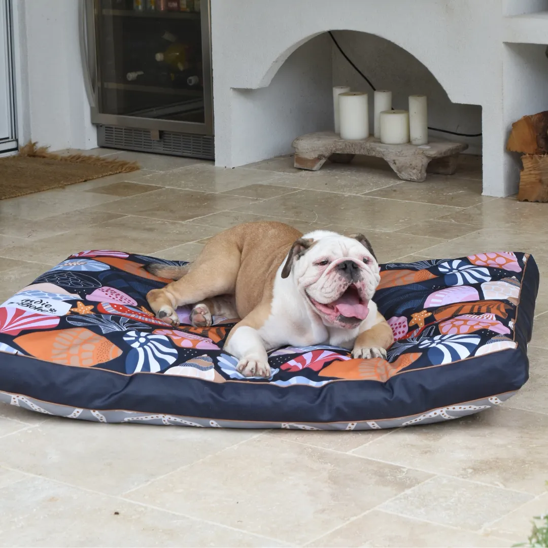 Daydream Shells Water-Resistant - XXL Dog Bed (SECONDS)