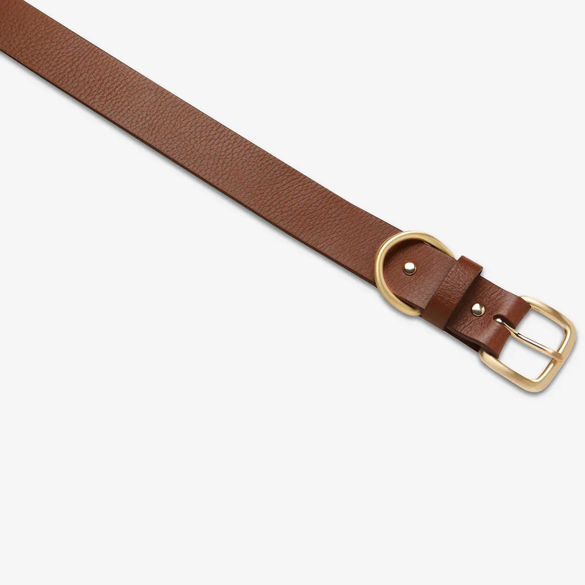 Disarm - Tan Gold Leather Belt