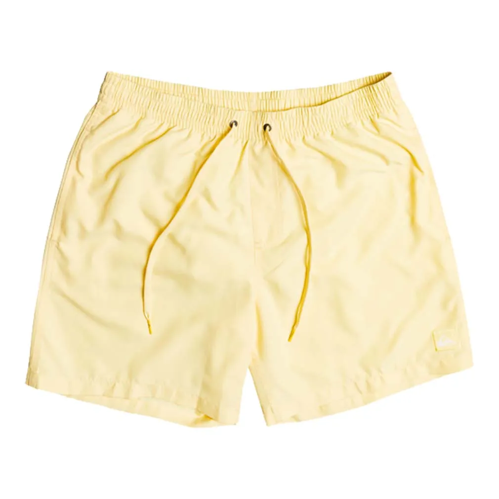 Quiksilver Everyday 17 Volley Swim Shorts